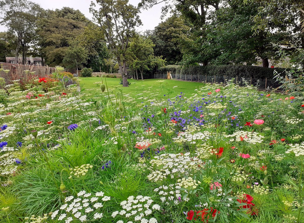 manxheritage's tweet photo. Lovely to see that the annual #meadow planting and herbaceous border at the #GroveMuseum have survived the recent wet weather. 🌧
The Grove Museum is open, Thursday to Sunday, 11am to 3pm: https://t.co/zSqCiyJ8hY
#isleofman #Grove #Sunday #Sunshine https://t.co/dQ5siKtZRo