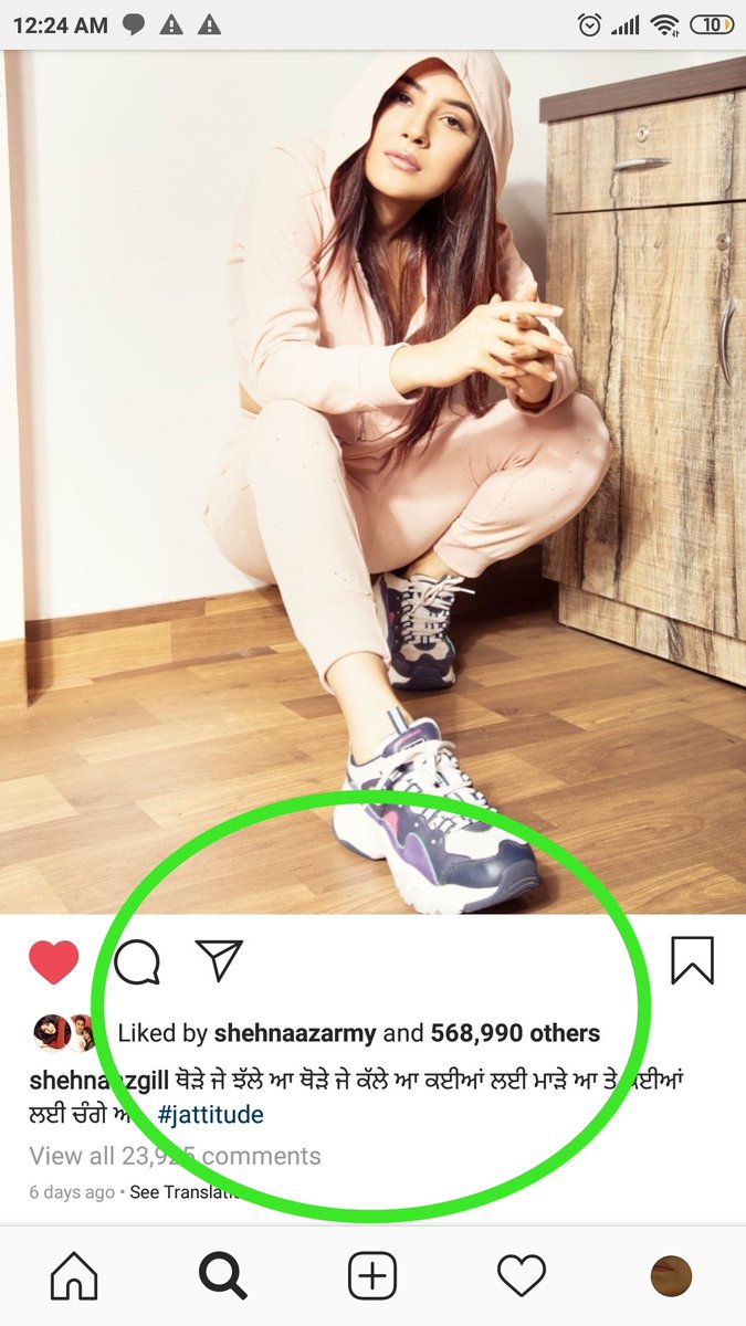 she has both fans and haters! everyone is hyping her either negatively or positivelyu can't ignore her  #jattitude in her blood  #SlayLikeShehnaaz