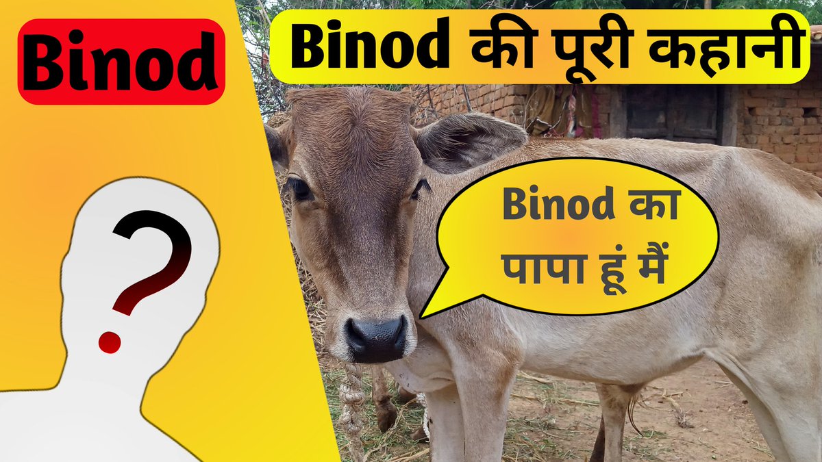 x9rtt's tweet photo. #binod #binodmemes ( watch this Binod video on YouTube channel name , ankitkevine ATL ⬅️ https://t.co/1udywzHNrv