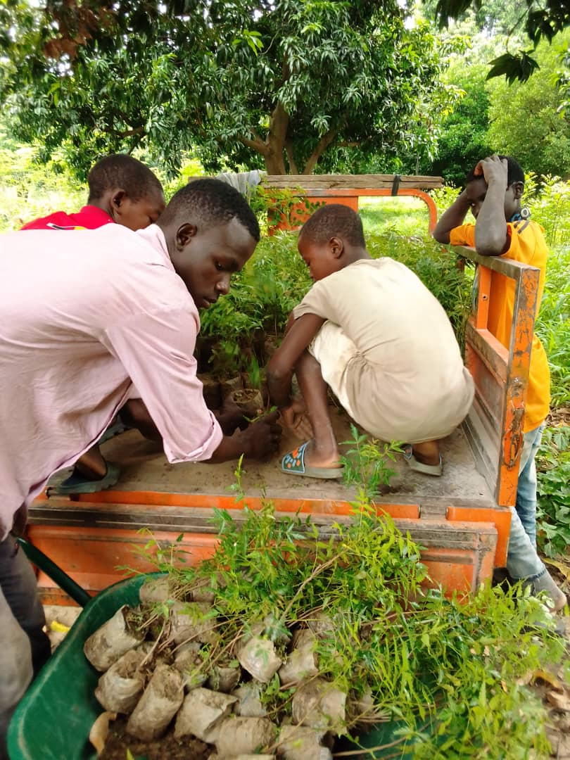 ForCfe's tweet photo. 70 participants étaient présents, Ce qui a abouti à plus de 800 plantes mis en terre. Merci à l'initiateur du Projet @DelangaCélestin.
#PNUD #CFE #SEMBE #GEM #GEF_Cameroun #REPIRAC
#AGG #FGC
Soyons des citoyens au service de l'environnement
CFE: <<Pour un monde en sécurité >> https://t.co/di4UzAxrah