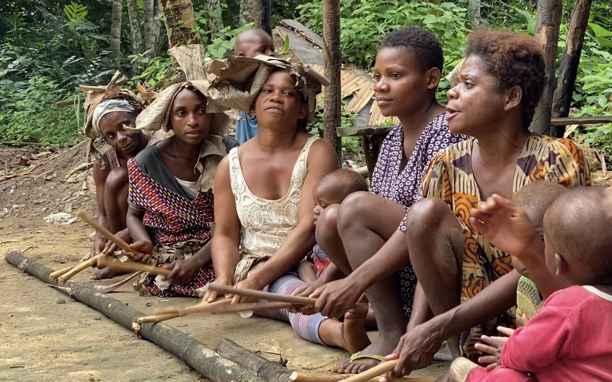 UN_Cameroon tweet media