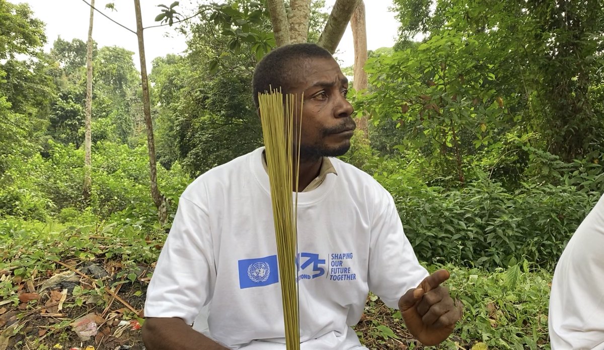 UN_Cameroon tweet media