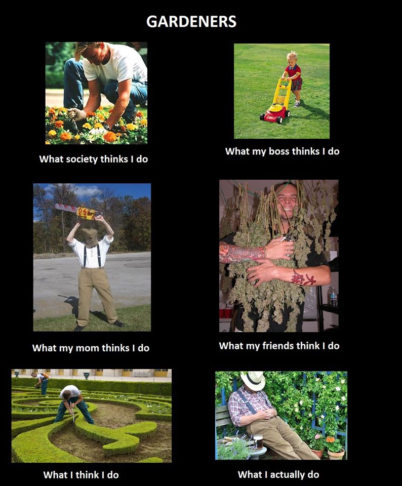 I still think I do a pretty good job 😜

#gardeningmeme