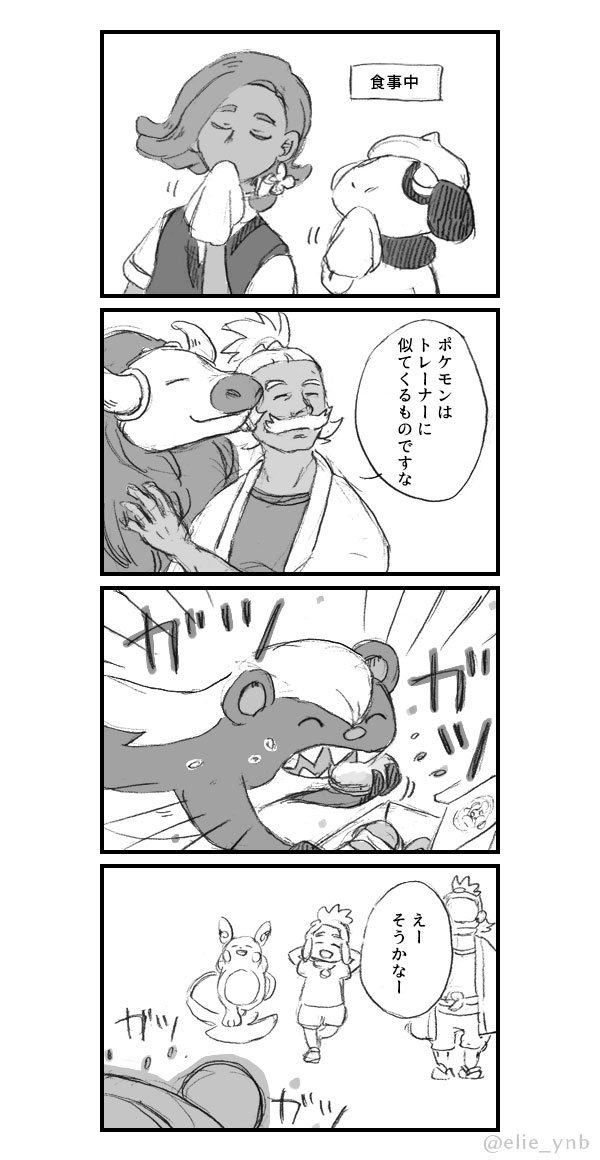 こっちはイリマとヤングースです 