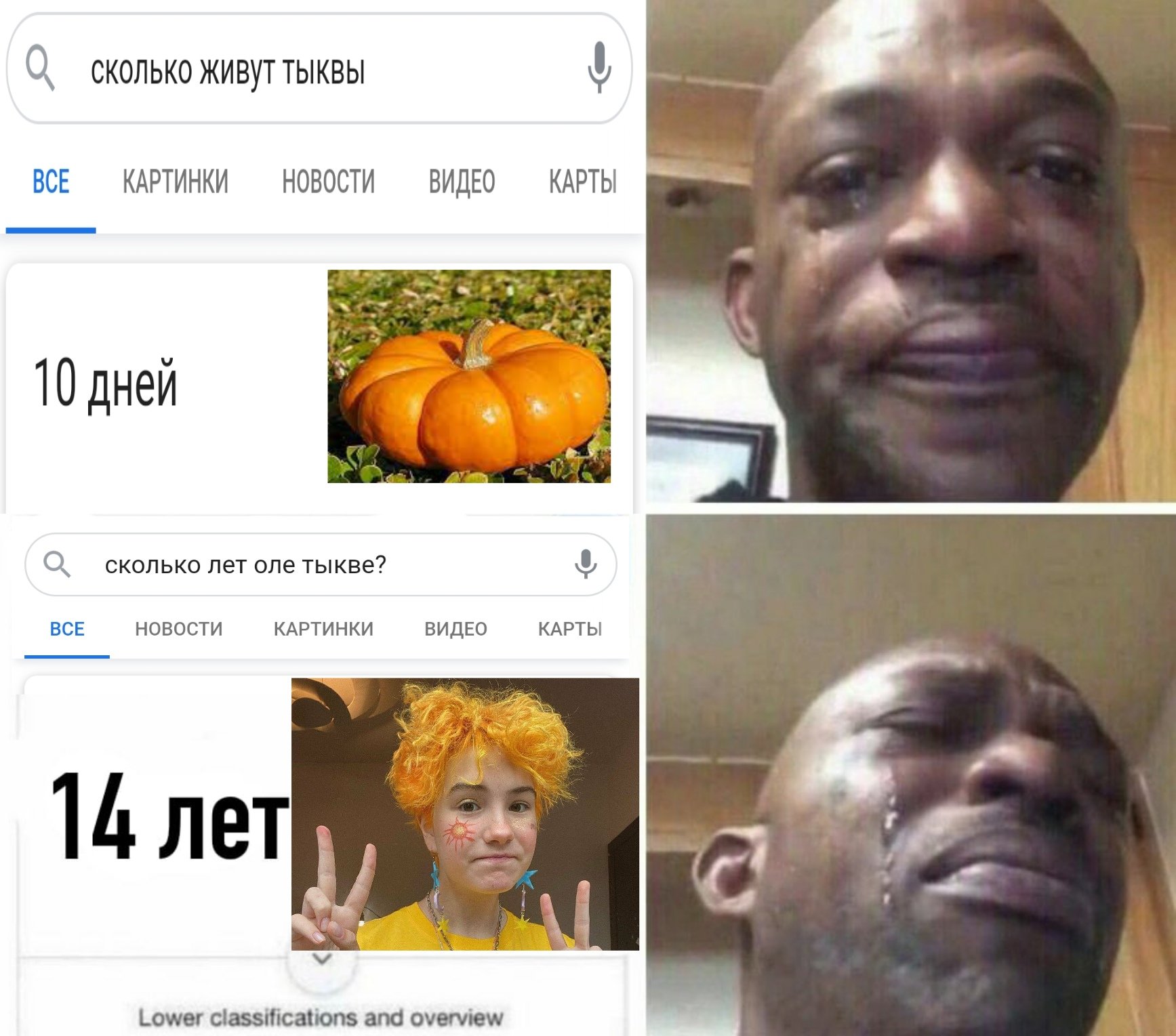 Оля тыква vakuolly слив