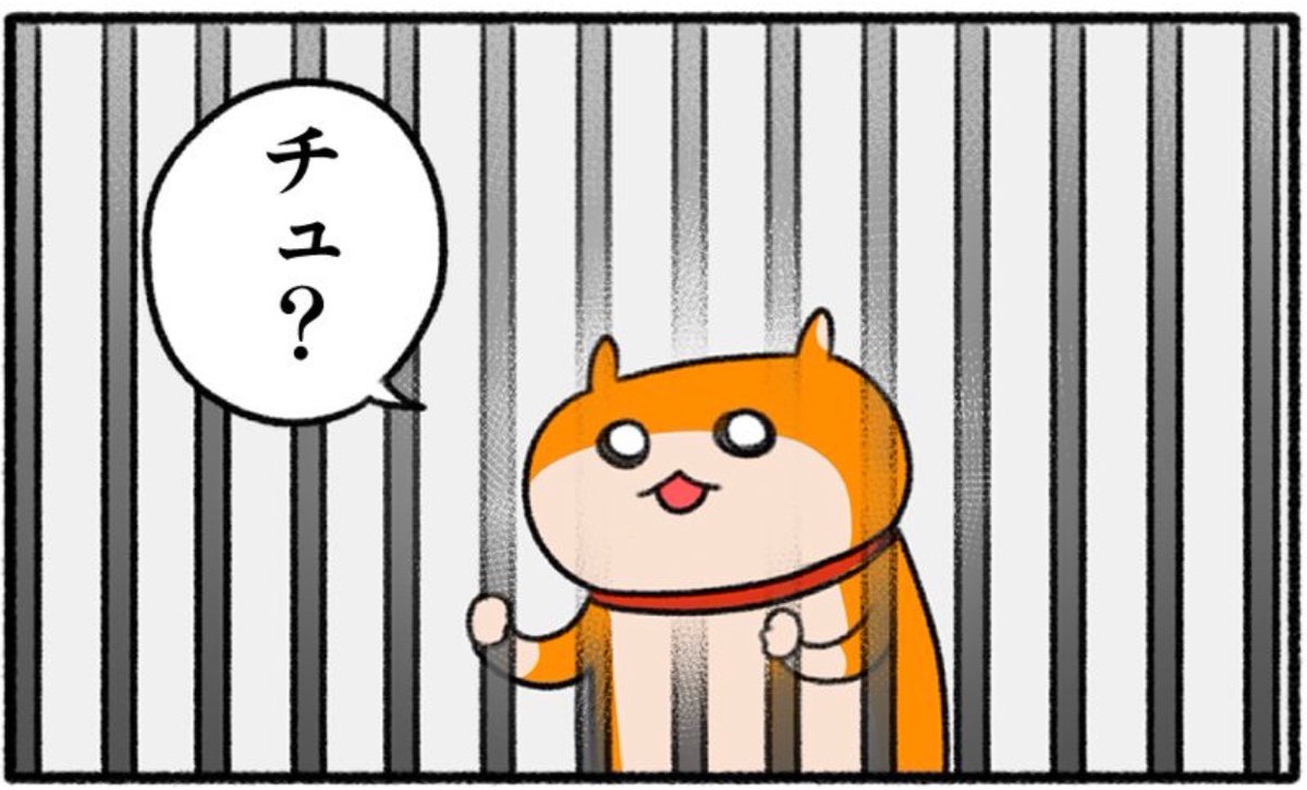 クソハム、窃盗罪
#生きぬけ爆走クソハムちゃん 