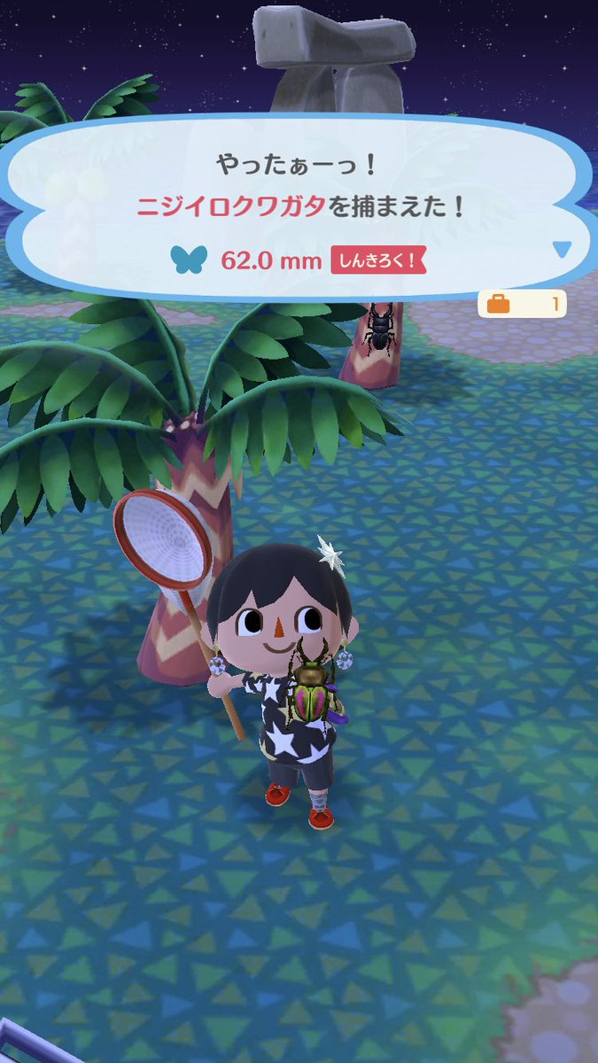 クワガタ あつ 森 ニジイロ