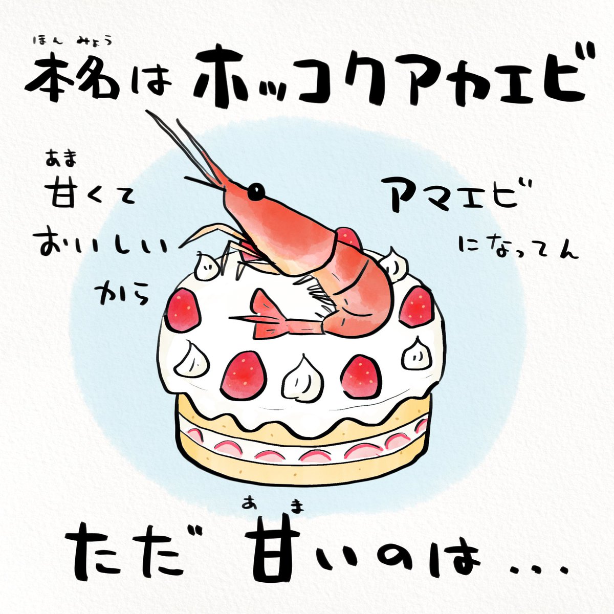 アマエビは…生きてる時はアマクナイエビ 