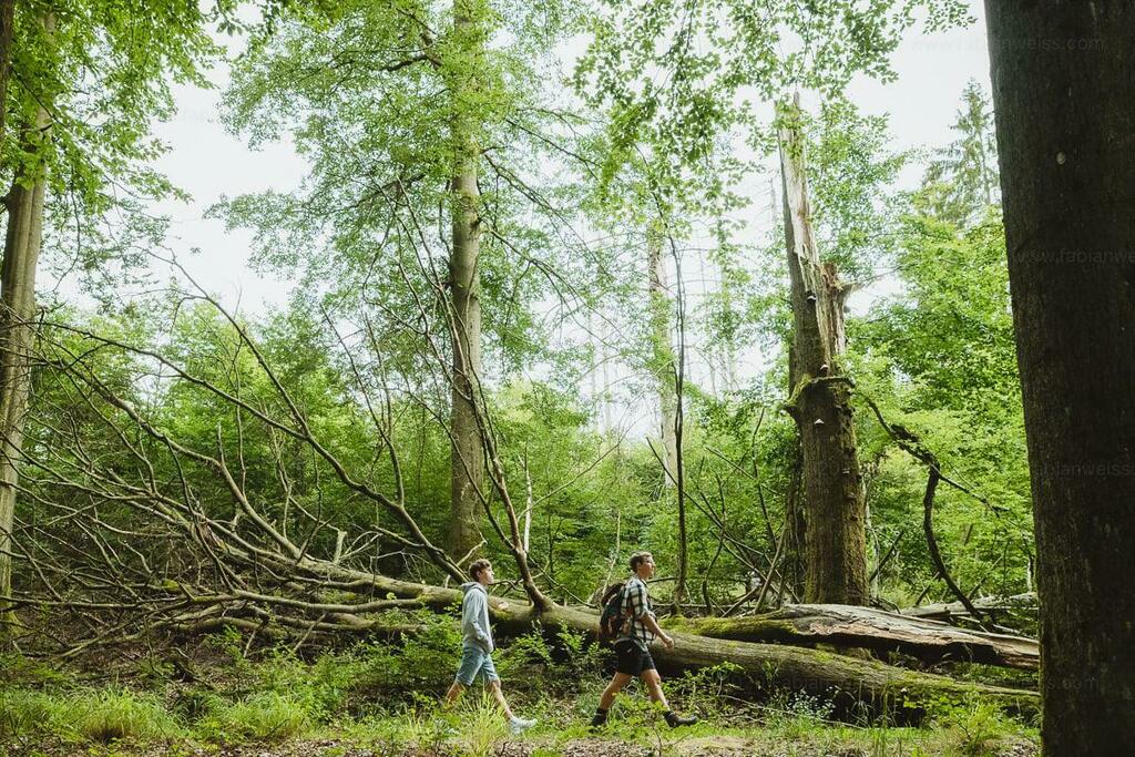 Fabian Weiß (@fabianweiss) on Twitter photo 