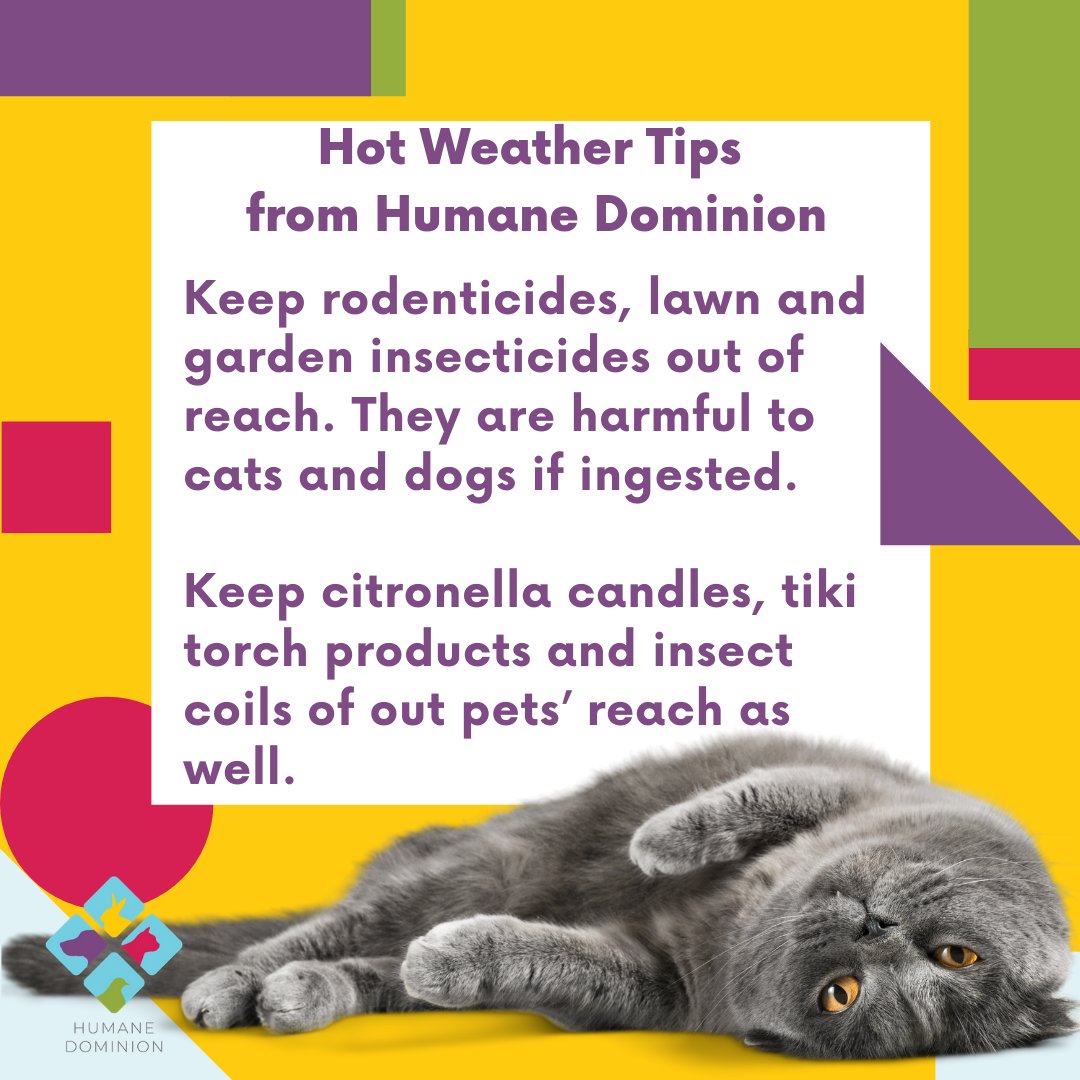 Keep your pets safe from all the things that keep you protected from pests. Store chemicals and lawn care out of reach. 

#summer2020 #animals #animalsafety #valegislation #virginiawildlife #virginia #animalwelfare #animalrights #virginiabackyards #virginiasummer