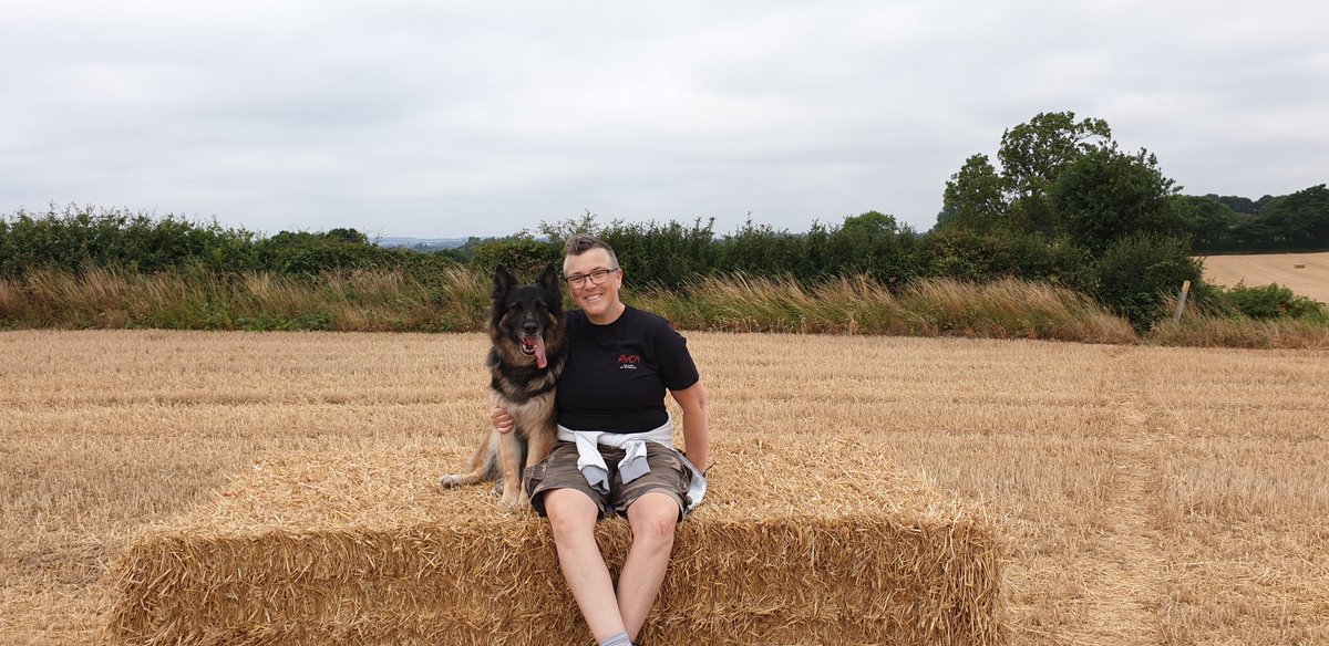 Beautiful Sunday Walk #tamworth #eastsussexpetcare