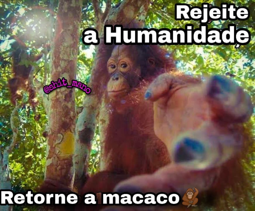 respostas a pessoas da minha esquizofrenia tweet media