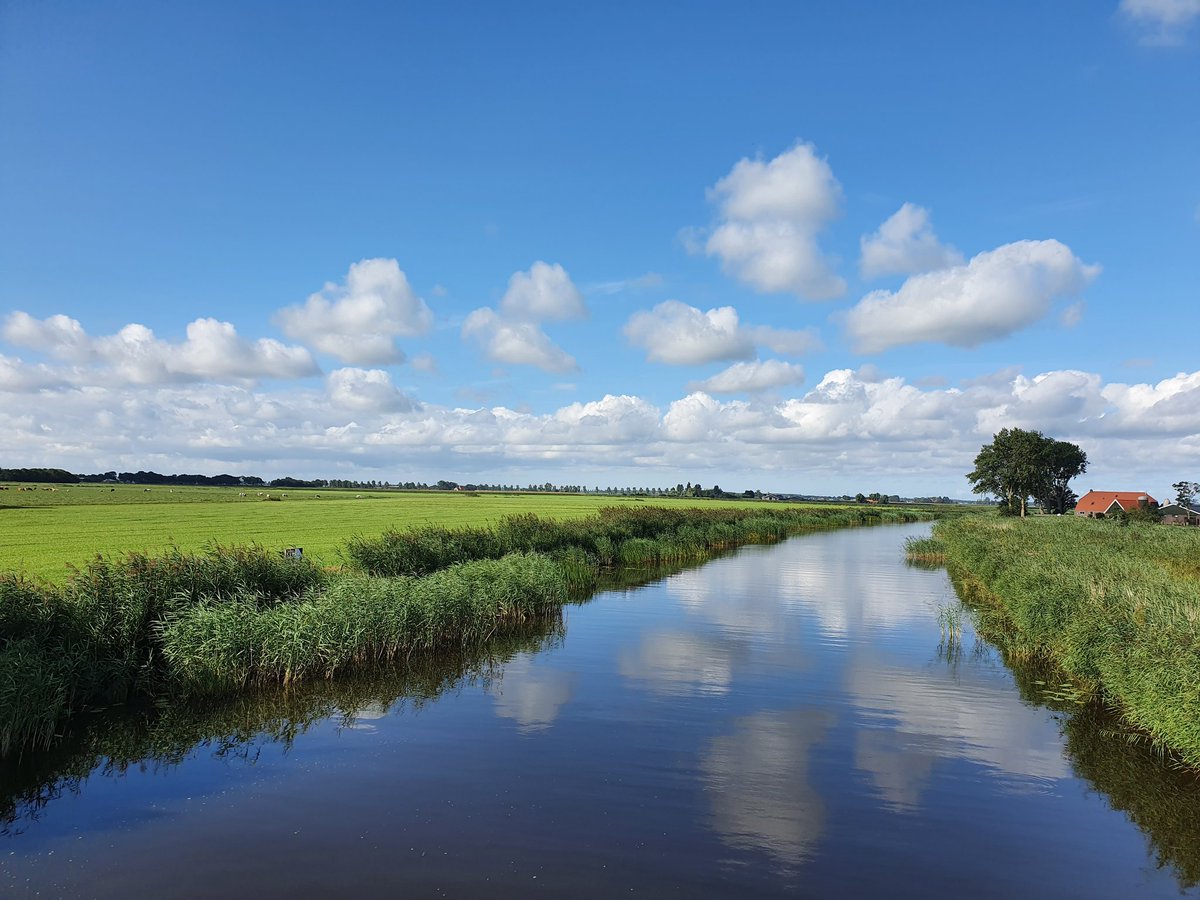 Denkend aan Friesland..