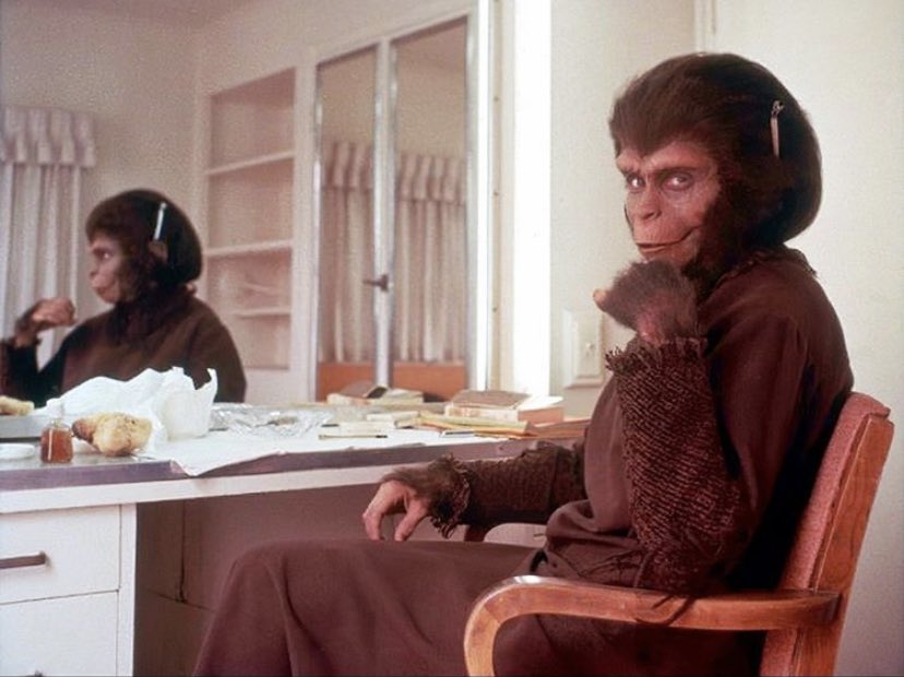 Planet Of The Apes Zira