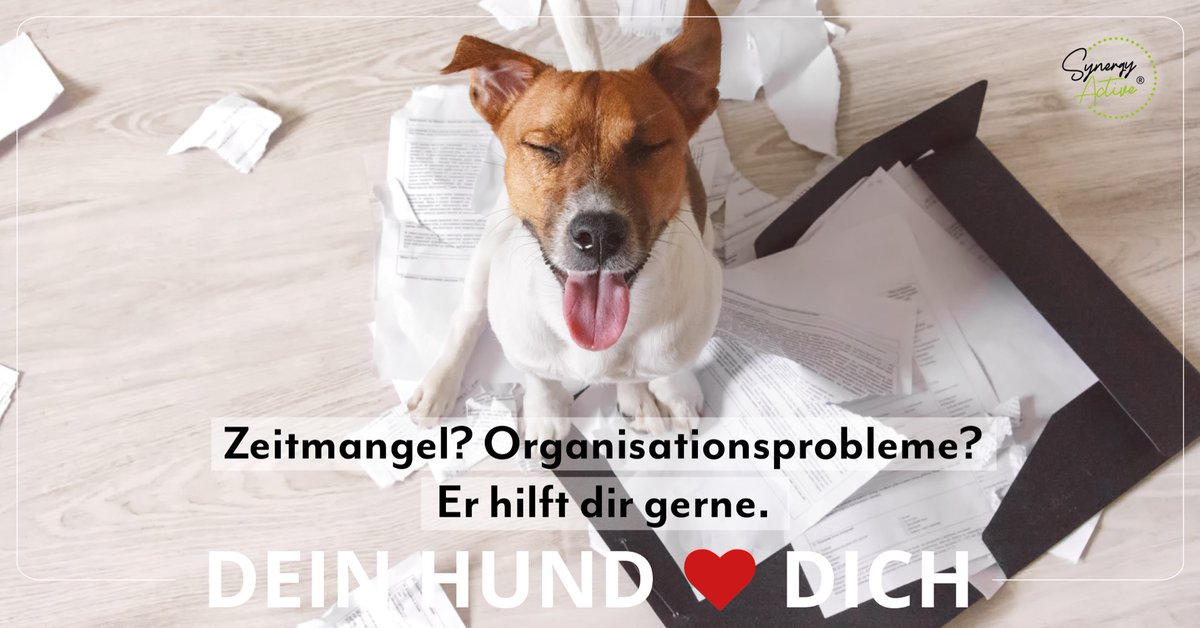 Dein Hund will nur eines, und zwar, dass es dir gut geht. Denn für ihn, bist du sein bester Freund. Gib diese Liebe zurück und unterstütze seine Entwicklung mit SynergyActive®. Unser verwendetes Mineral sorgt für ein starkes Immunsystem und fördert die gesunde Entwicklung.