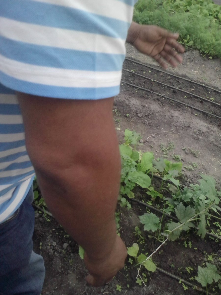 Knpmag's tweet photo. @KhaltiOfficial Binod is busy in farming, whereas you guys are looking out here in twitter😉 #farming #Harekgaumabinod https://t.co/3x1UdzAckb