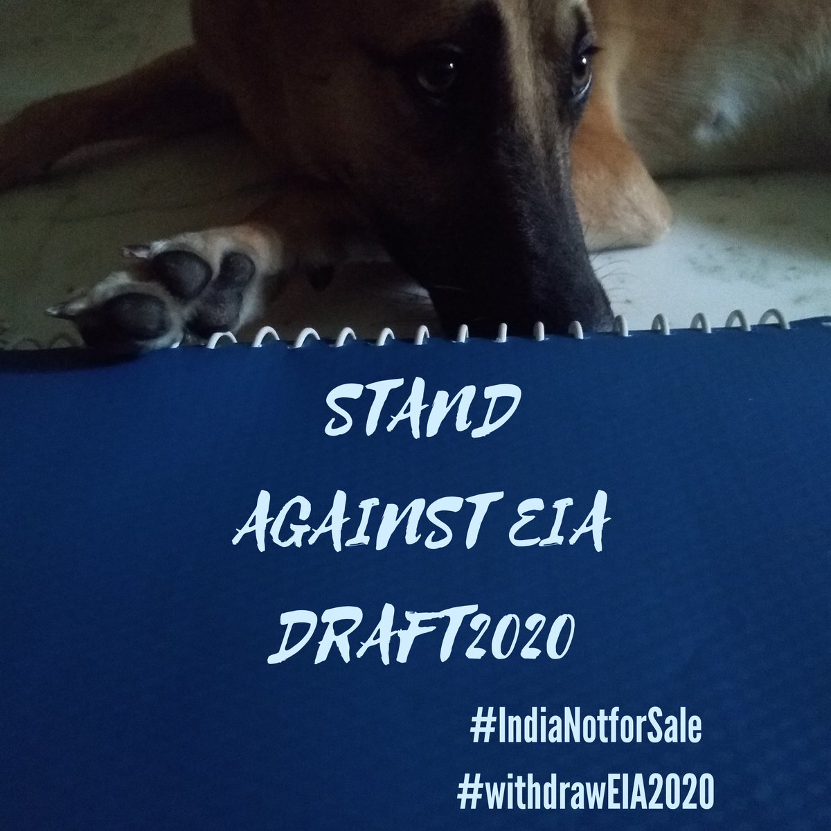ClimateSaveDel's tweet photo. EIA 2020 gives free way to harm the ecosystem in the protection of law. Question the draft and raise your voice!
@fridays_india 
@Youth4ClimateIn 
@climatesavemvmt 
@ClimateSaveInd 
@AravalliBachao 
@AdivasisMatter 

#WithdrawEIA2020 #IndiaNotForSale https://t.co/e0h6Vg7KAe