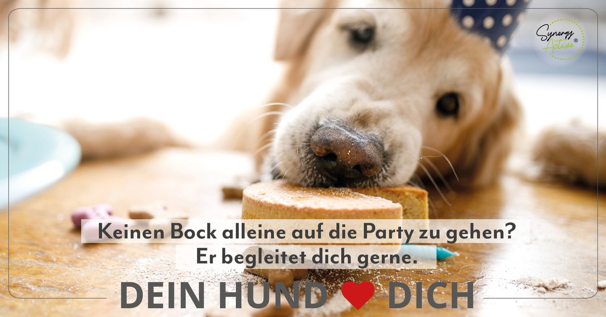 Dein Hund will nur eines, und zwar, dass es dir gut geht. Denn für ihn, bist du sein bester Freund. Gib diese Liebe zurück und unterstütze seine Entwicklung mit SynergyActive®.