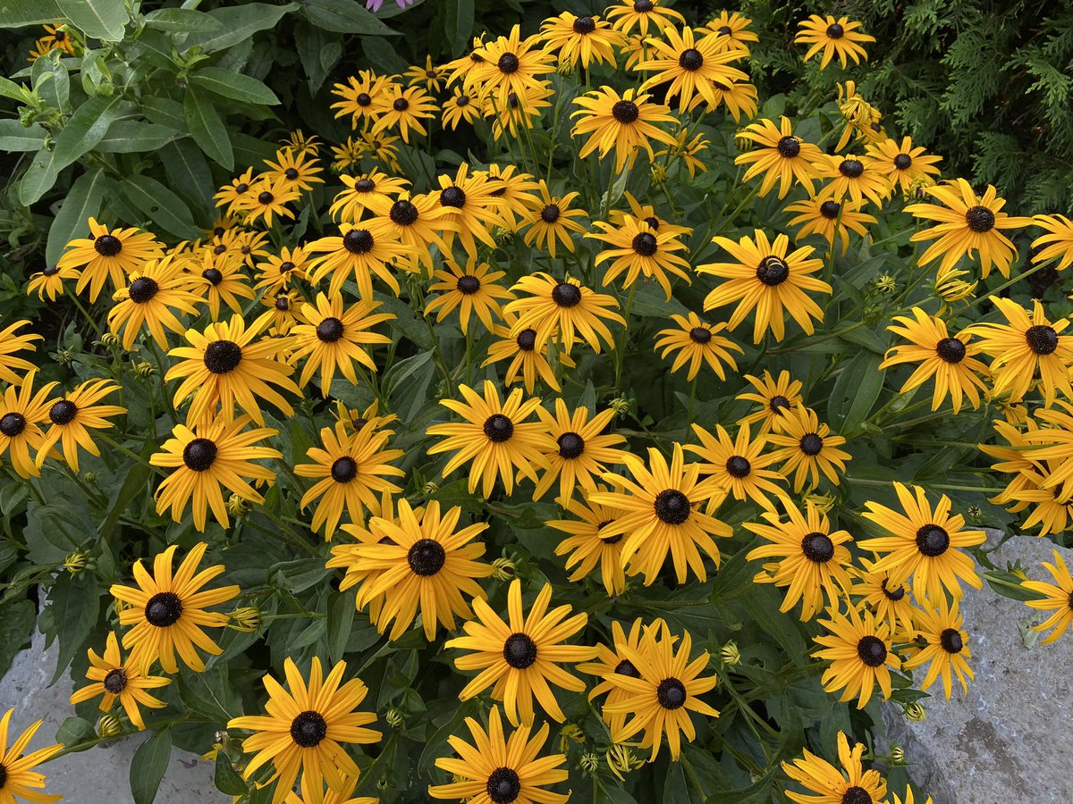 Sometimes I bike along the waterfront, sometimes I swim, and sometimes I enjoy the waterfront’s landscape. ❤️ <a href="/WaterfrontTO/">Waterfront Toronto</a> <a href="/Waterfront4All/">Waterfront for All</a>