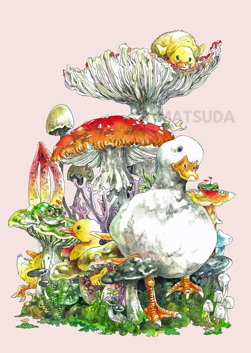 mushroom no humans bird animal focus animal simple background traditional media  illustration images