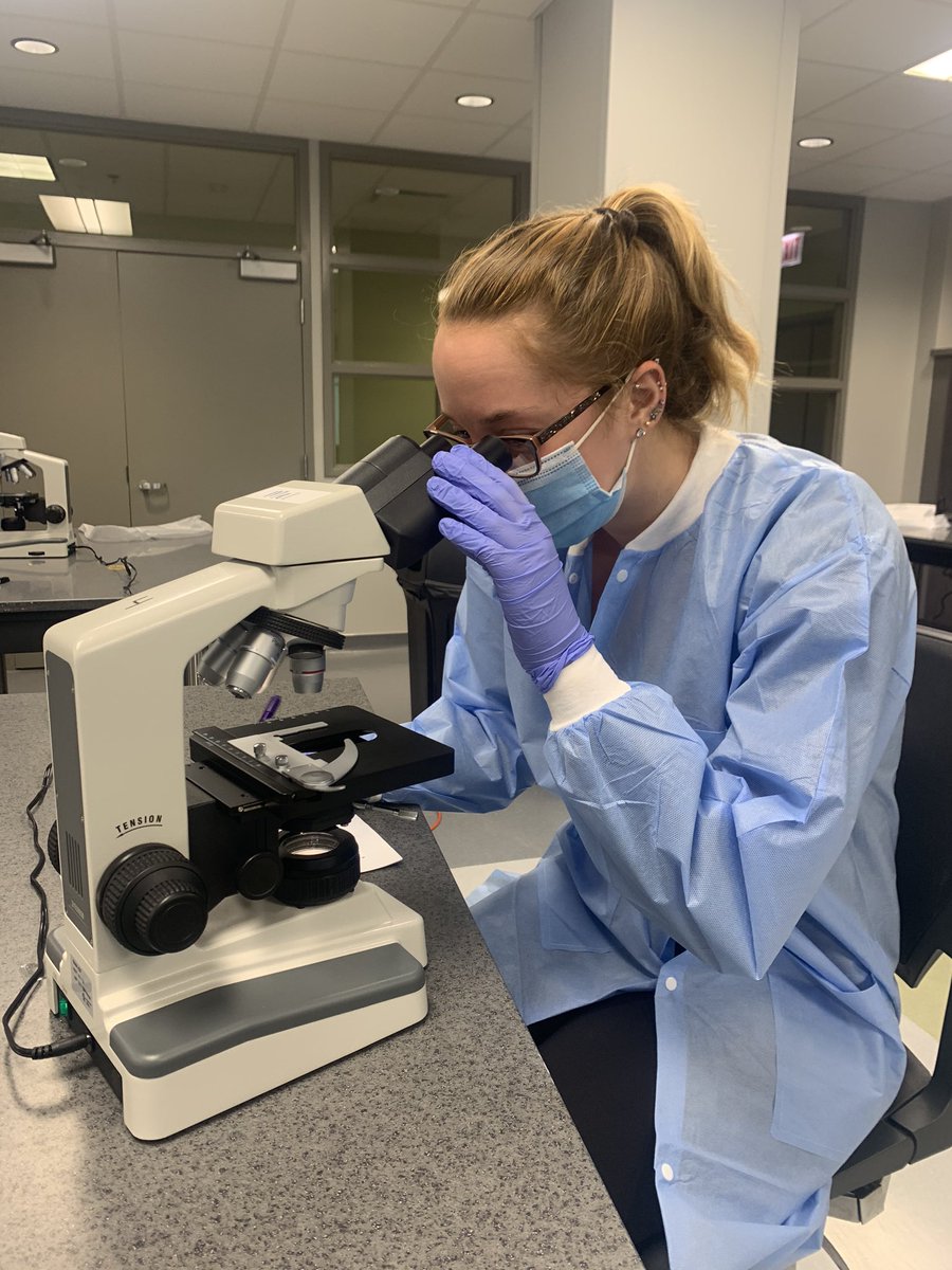 MLSatLoyola's tweet photo. Today we successfully started our MLS Laboratory sessions while being socially distant! We’re super excited to have our new students join us 🔬 #Lab4life https://t.co/U1lbec0eSf