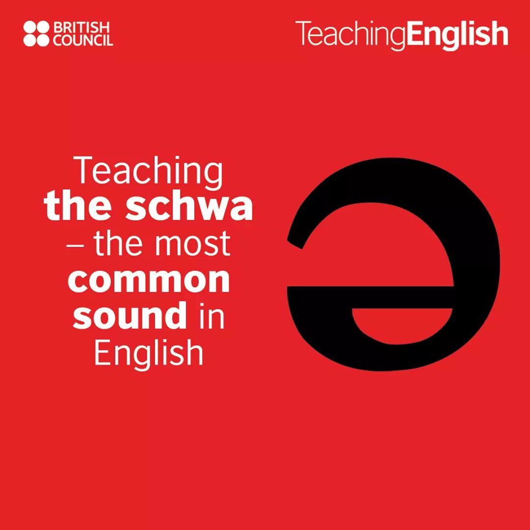 TeachingEnglish's tweet photo. If you only teach your students one phoneme, make sure it's the schwa!
👉 Catherine Morley explains why the schwa is the most common sound in English and how to teach it: https://t.co/BSTMtYrMaM

#Pronunciation https://t.co/jO8d246o93