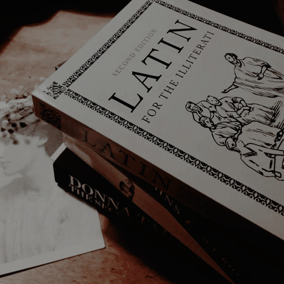 españoles en beauxbatons tweet media