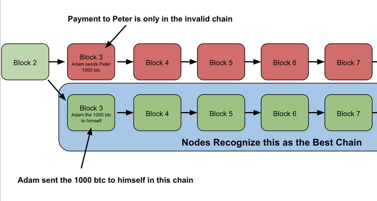 10/ All new blocks are then created on top of this chain!So what happened?If you remember, Adam's transaction to Peter was only included in the OLD chainThe new chain instead has a transaction of Adam spending those coins to himself!