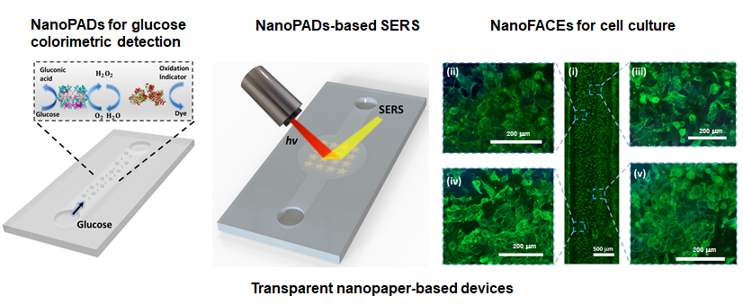 YingBinbin's tweet photo. What can hydrogels do? The answer is A LOT!
In our recently published paper @LabonaChip, we the first time utilized nanocellulose hydrogel to fabricate a transparent paper for microfluidic disease diagnostics and organ on a chip. 
https://t.co/M7t36RJjtx 
@mcgillu @UofT https://t.co/p6hXmxjom1