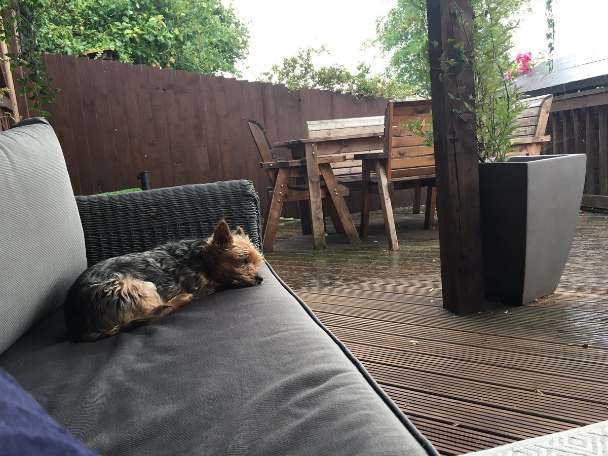 TNH_SW's tweet image. Because it can’t all be about the refurbing, painting and decorating.... today, we’re catching up on the latest property news with @Rickgannon, whilst drinking fizz in the ‘summer house’ in the pouring rain 🌧

#landlordlife #property #selfemployed #personaldevelopment