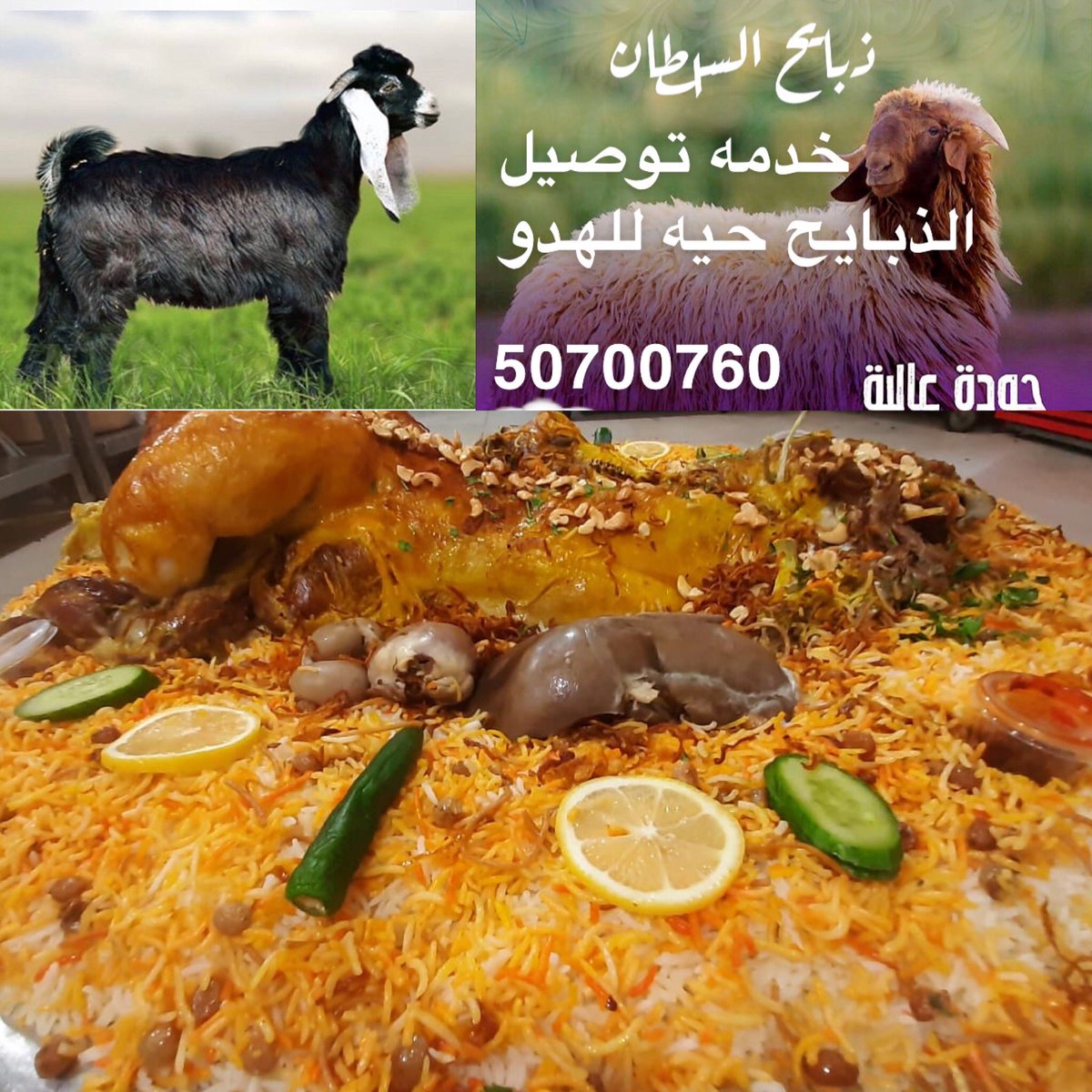 Alsultan Restaurant Sultan Sheep Twitter