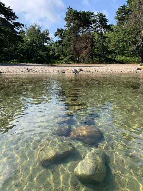 HappyCapeCod's tweet image. Read the latest @HappyCape Cod Quarterly Newsletter - Summer 2020 - mailchi.mp/b9cac70e1319/h…