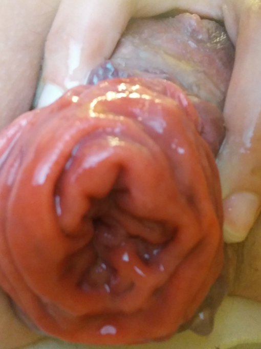 To celebrate National Beer🍺 Day I'm going to have a sale! 🖤🍺👌If I get 10 new followers on OnlyFans I'll<a href="/tag/asshole"class="tags"><span>#asshole</span></a><a href="/tag/yes"class="tags"><span>#yes</span></a><a href="/tag/shh"class="tags"><span>#shh</span></a><a href="/tag/ass"class="tags"><span>#ass</span></a><a href="/tag/peekaboo"class="tags"><span>#peekaboo</span></a><a href="/tag/loose"class="tags"><span>#loose</span></a><a href="/tag/anal"class="tags"><span>#anal</span></a>