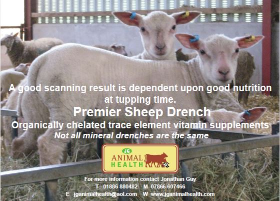natsheep's tweet image. JG Animal Health is sponsoring our #NSAVirtualEvent online fleece competition alongside British Wool that will launch tomorrow.
As always NSA is grateful for the nutritional supplement manufacturers support.