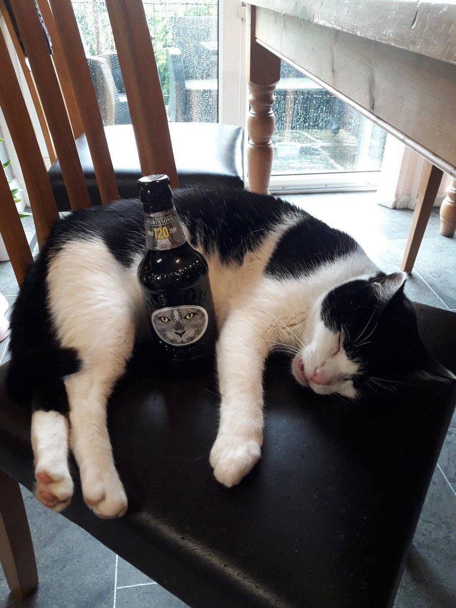 Old Tom Beer tweet media