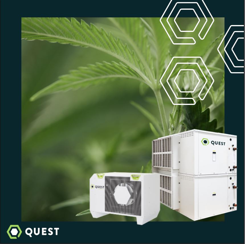 hawthornegc's tweet photo. To master your grow you need a partner to help you dial in your setup, select and size climate controls and one who’s always there when you need installation and service support. #MostEfficient

Learn more about Quest at https://t.co/XB8dikH11U https://t.co/g2bASMAMxE