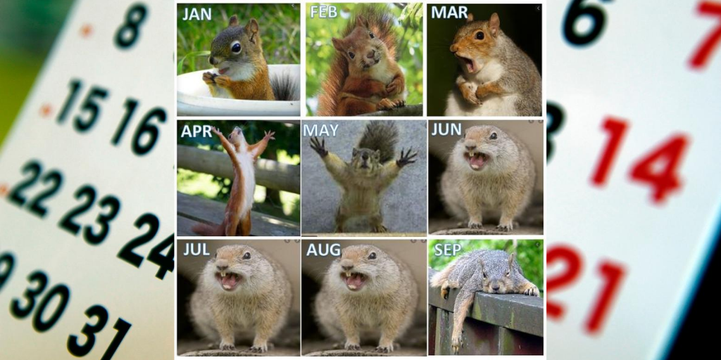secretsquirrel's tweet photo. Are we there yet? is an understatement 🐿️😅🙏
#tgif #secretsquirrel #fail2020 https://t.co/w9tZIQkJXr