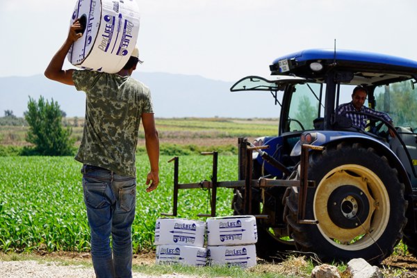 Drip irrigation provides longterm food security dlvr.it/RdBm4R