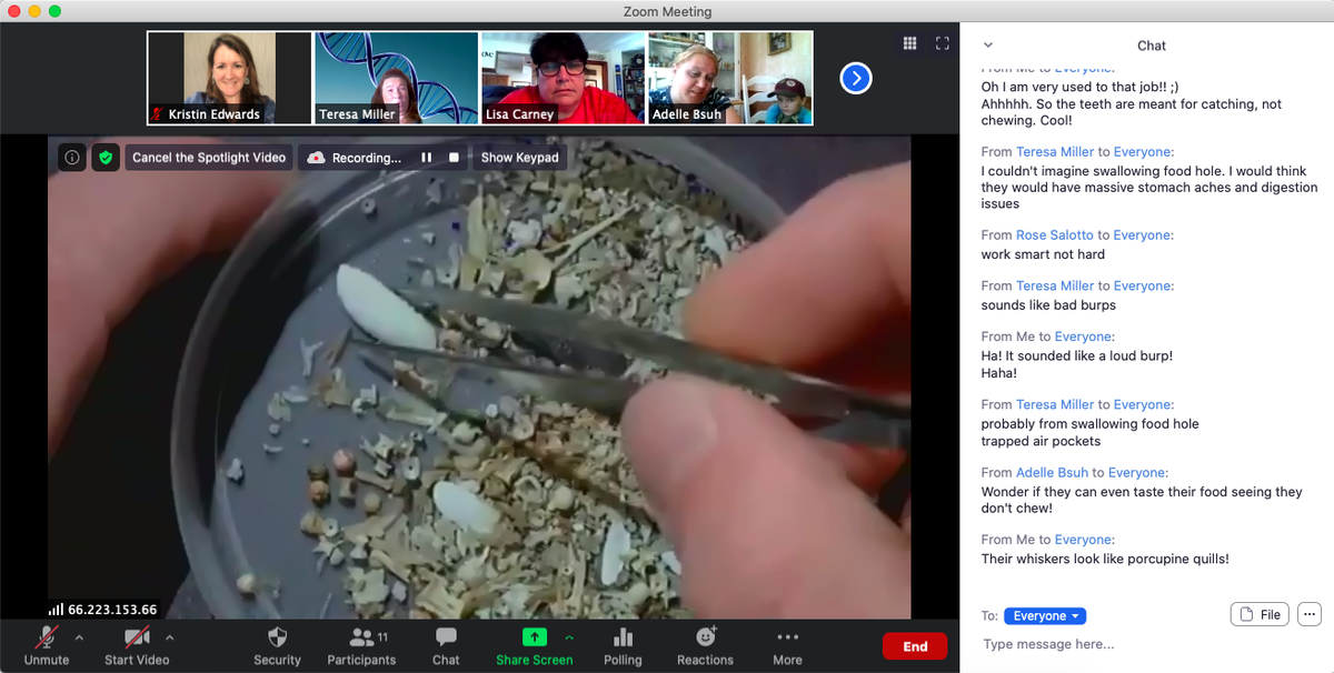 Two <a href="/CiTi_BOCES/">CiTi</a> classes went to ALASKA last week! We had the incredible opportunity to connect w/ Darin from <a href="/AlaskaSeaLife/">Alaska SeaLife Center</a> to learn all about marine mammals. We even got to meet Pilot, one of the resident the steller sea lions, and observe a sea lion scat dissection! <a href="/NYSDLC/">NYSDLC</a>