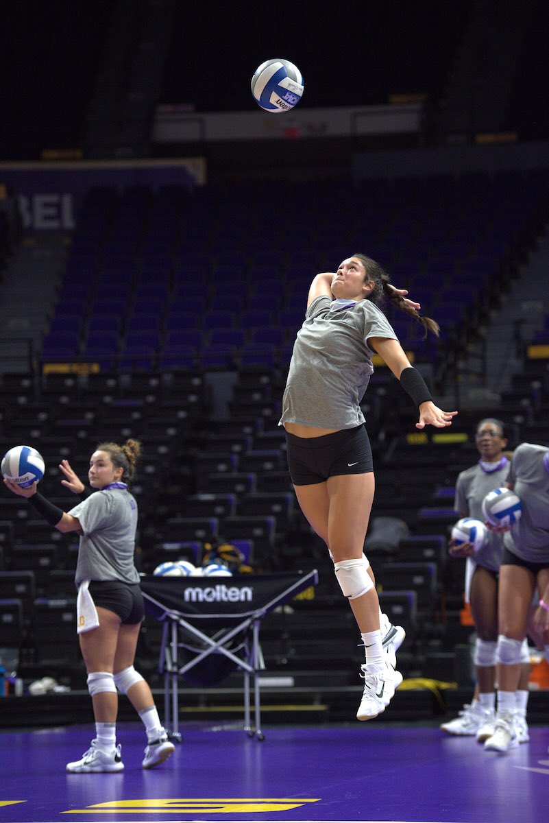 LSU Volleyball tweet media
