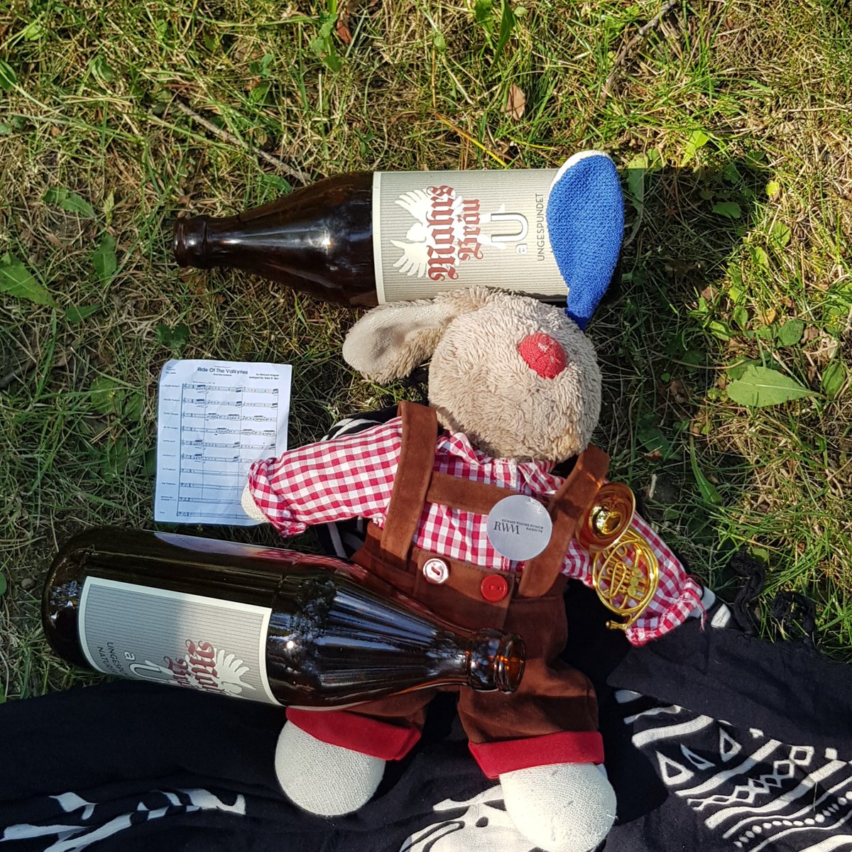 🐰 #influencer_hare auf dem #Festspielhügel. Gegen den kollektiven Angstwahn hilft nur #a_U