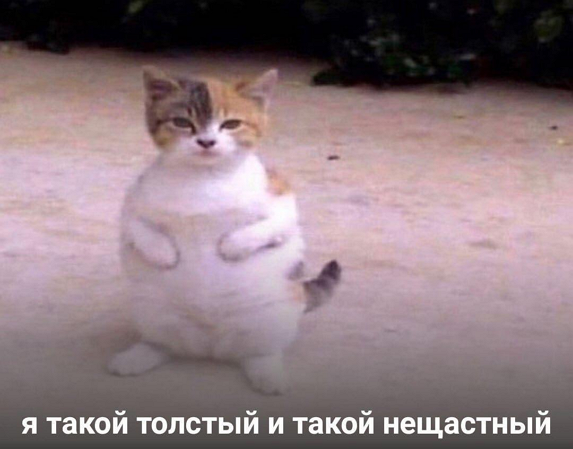 so_mad_so_funny's tweet photo. https://t.co/f0d0xgjg0S
