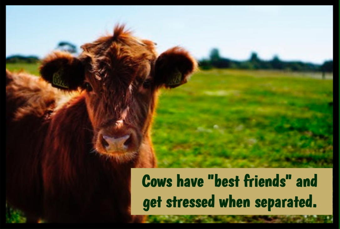 SeminoleLibrary's tweet image. #DidYouKnow #TheMoreYouKnow #library #seminolecountyfl