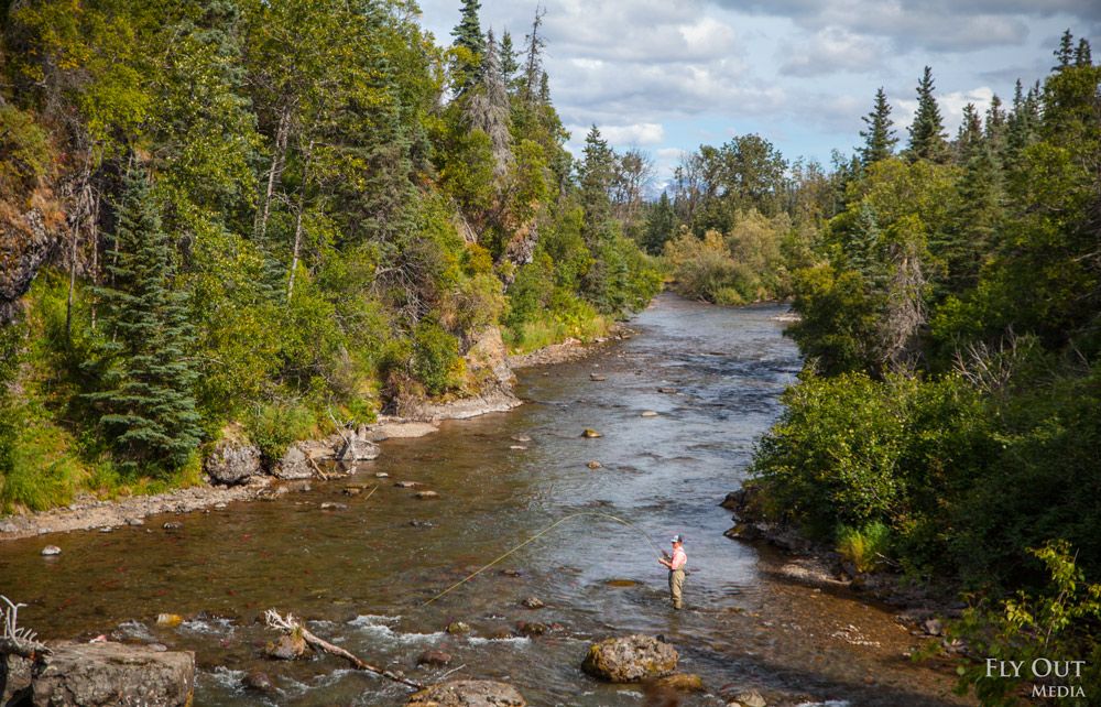 Save Bristol Bay tweet media