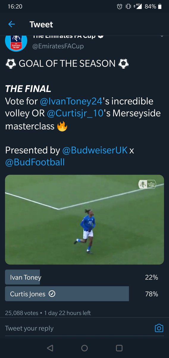 محمد tweet media