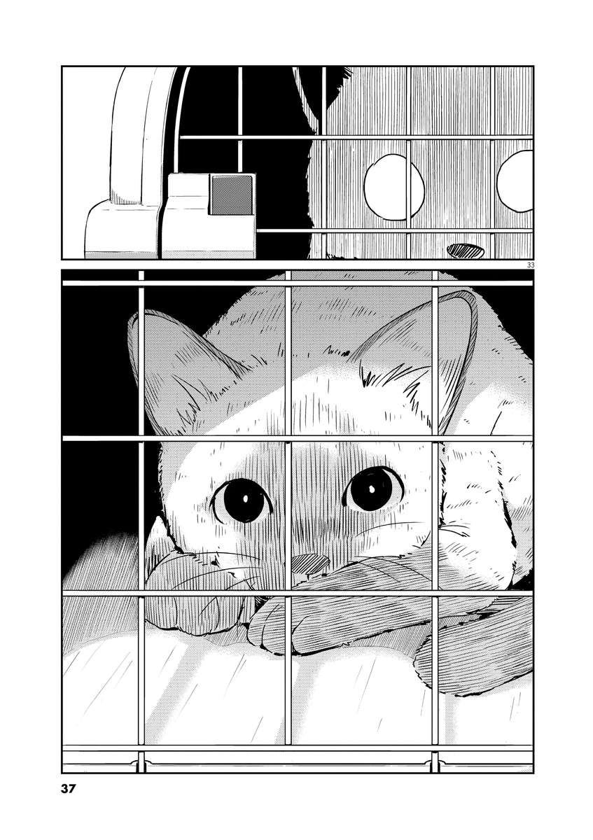 (9/11) 