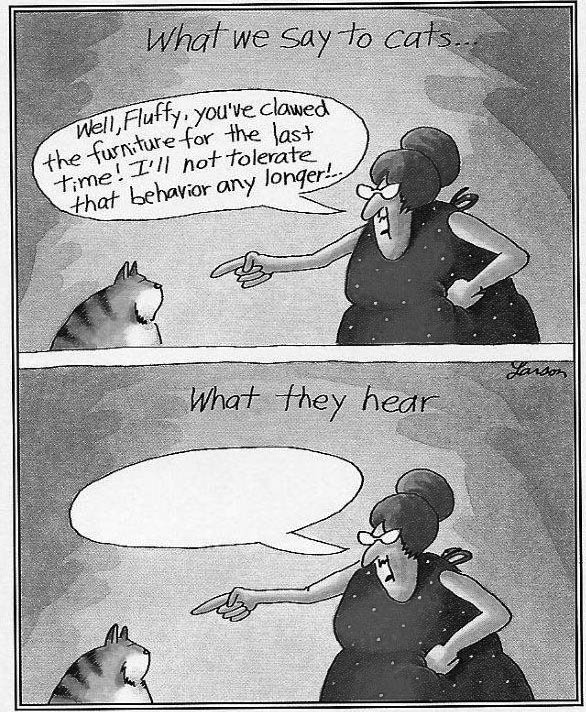 Graphic Medicine Day 5: Check out these 2 classic 'Far Side' cartoons. The compare/contrast in each cartoon is hilarious. Remember, class today 1:00-2:30 via Zoom. We’ll draw (a lot) & discuss the homework readings.