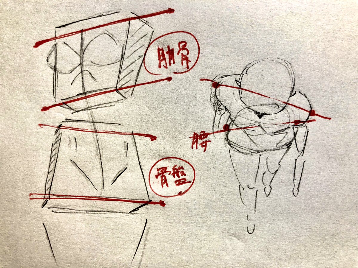 柔らかさ、、

上手く描けないですが、
考え方としては

(柔らかさを出す場合)
軸の傾き具合をおのおの一緒にしない!

箱(直方体みたいな)を意識すると、自分は分かりやすいかと思います。

体のいろんな場所を箱化すると意識しやすいのかも、、しれない。
(箱の見える面見えない面の変わり方を) 