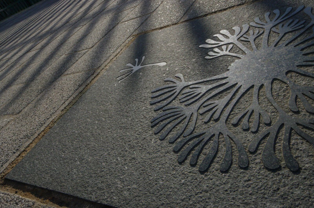 Hardscape_Surfaces tweet media