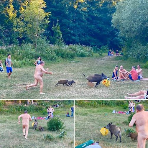 Das ist einfach das beste. Der Sommer bringt nichts besseres mehr. I mean it. 

orf.at/#/stories/3176…